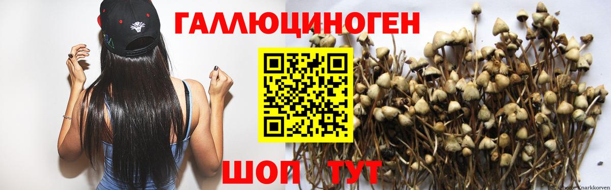Галлюциногенные грибы ЛСД Арсеньев